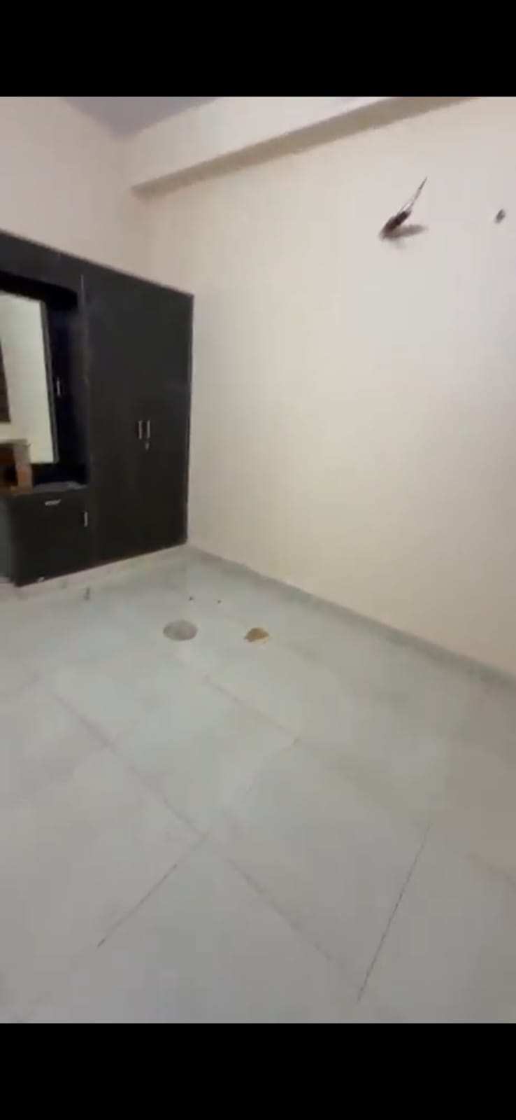 2 BHK FULL  FURNISHED FLAT-Vidhyadhar Nagar-Jaipur